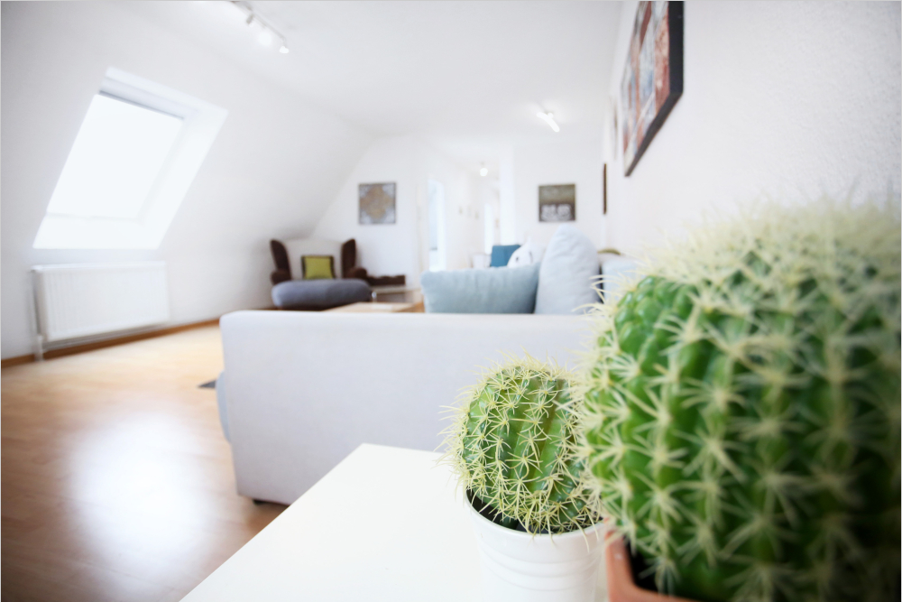 2.5 Zimmer in Krefeld - Foto 2